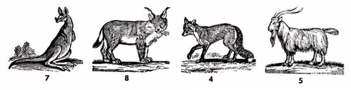 bestiario_mostre_vicenza_casa_cogollo